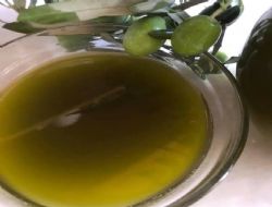 Zeytinin merkezinde fiyatlar düştü, yağının fiyatı ise ikiye katlandı